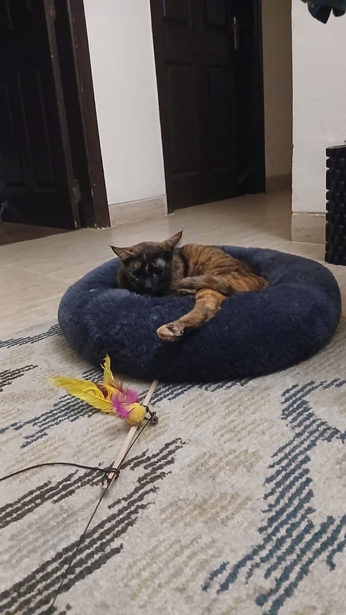 Ishan's home photo 3