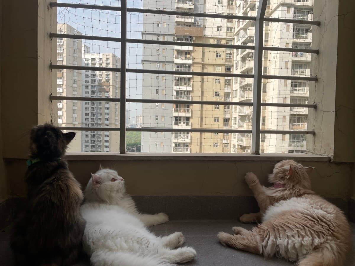 Ishan's home photo 4