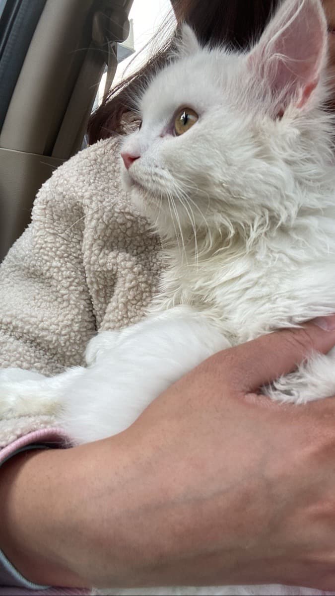 Aradhna's home photo 2