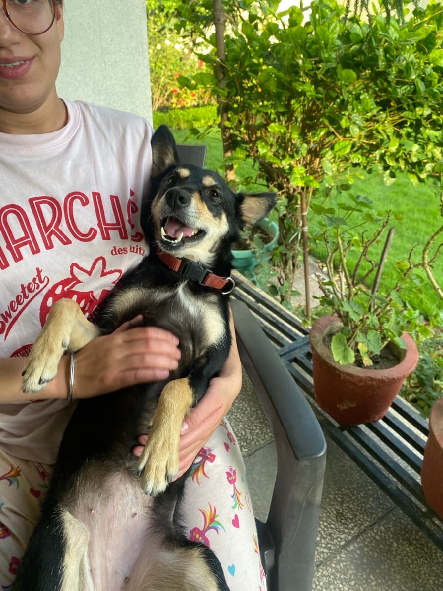 Aradhna's home photo 4