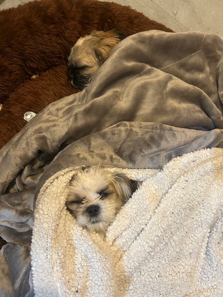 Rishita's home photo 1