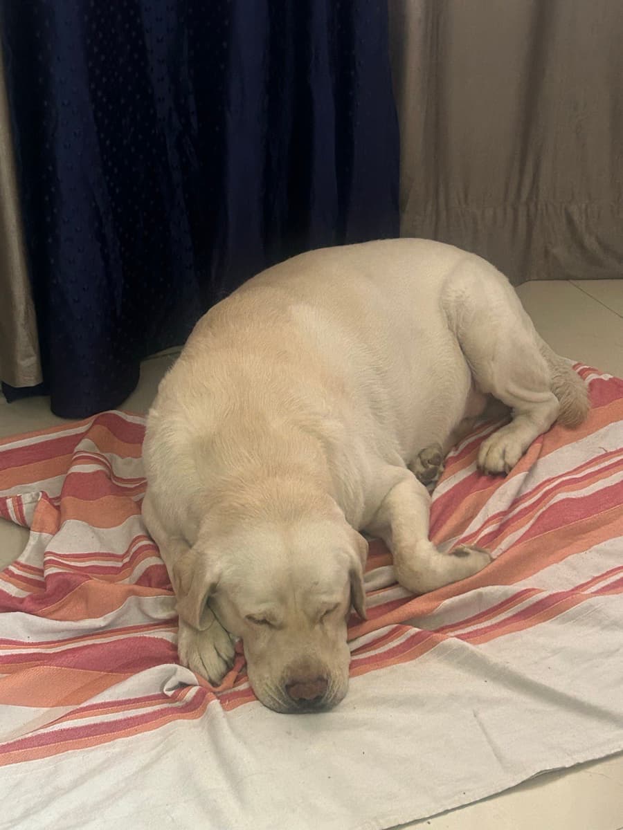 Rishita's home photo 3