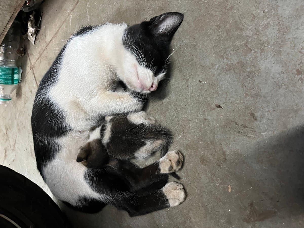 Rishita's home photo 4