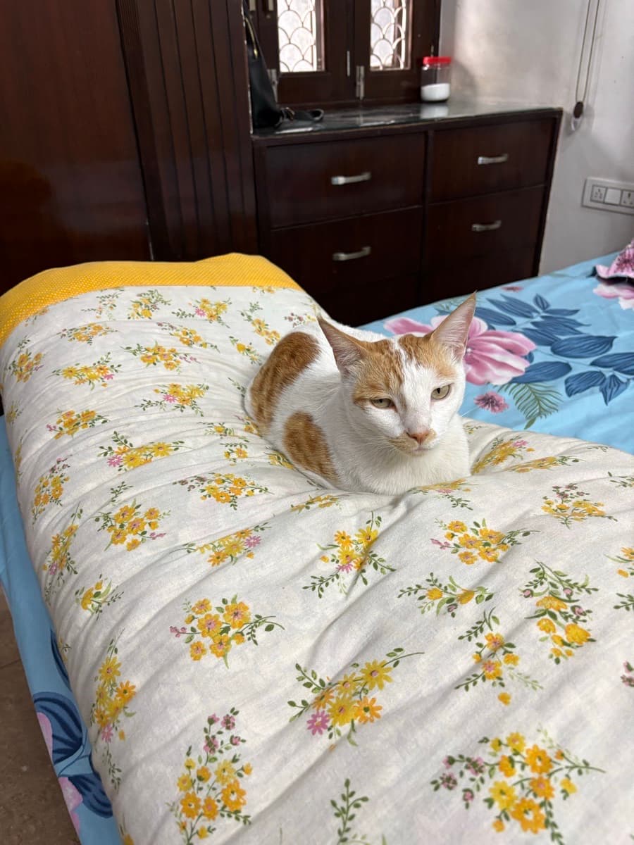 Srishti's home photo 1