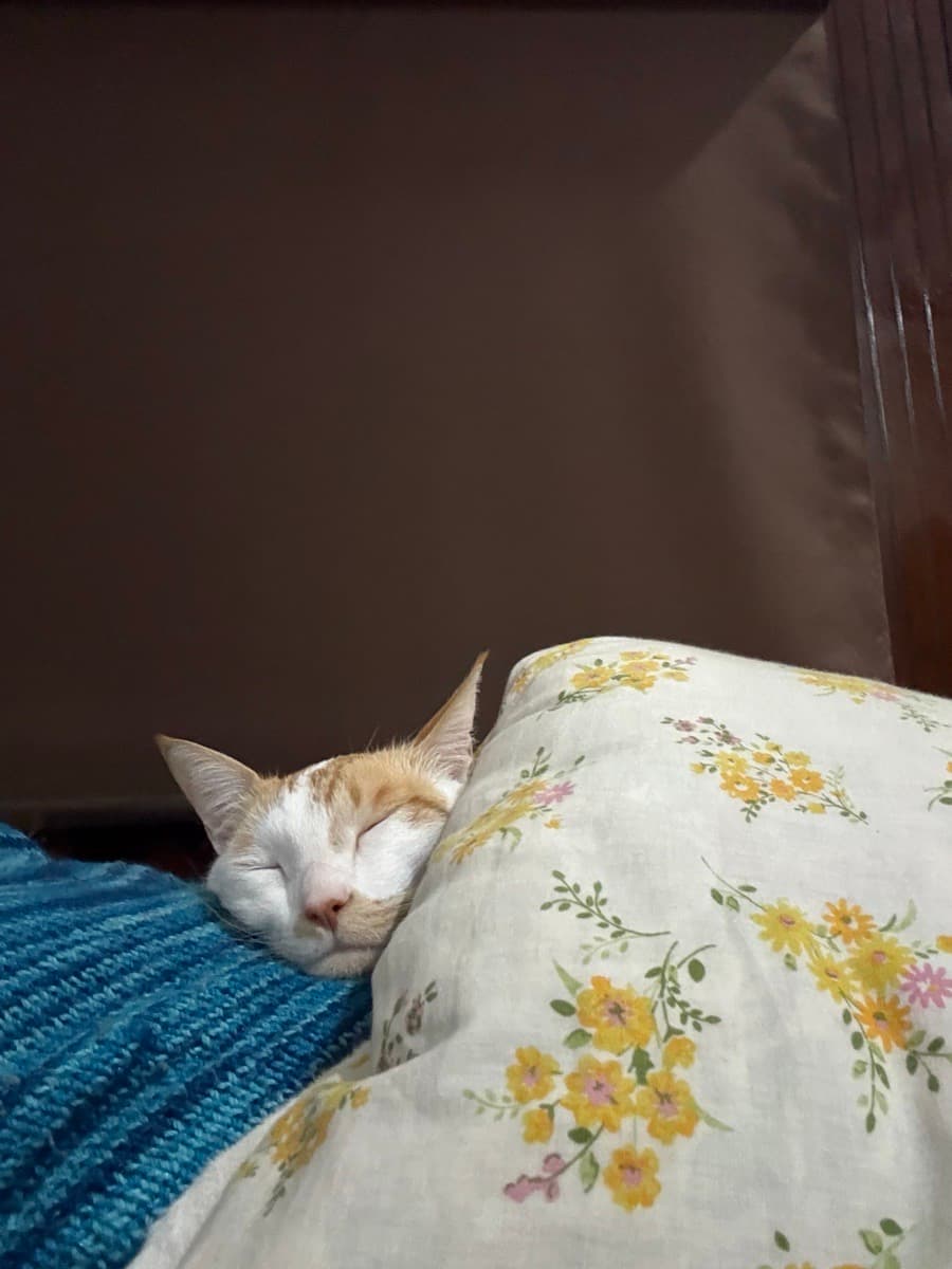 Srishti's home photo 2