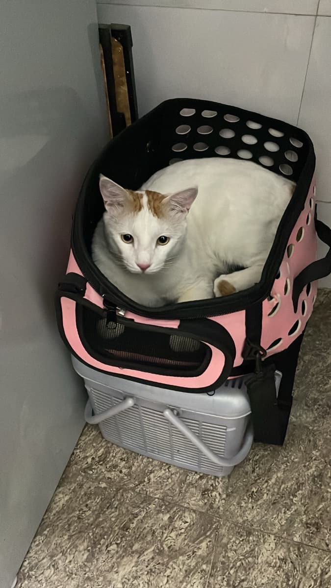 Srishti's home photo 3