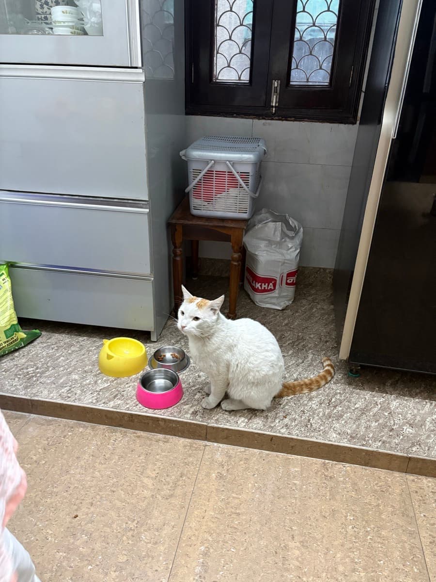 Srishti's home photo 4