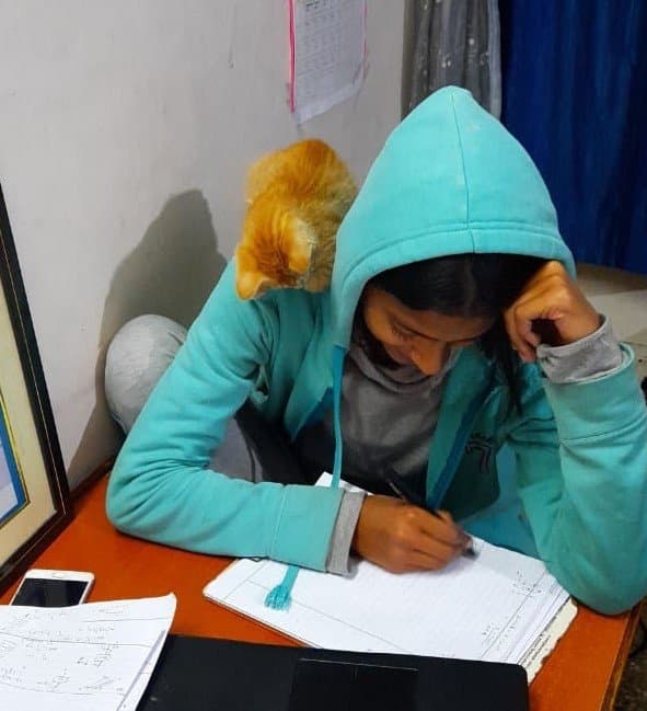 Aparajita's home photo 2