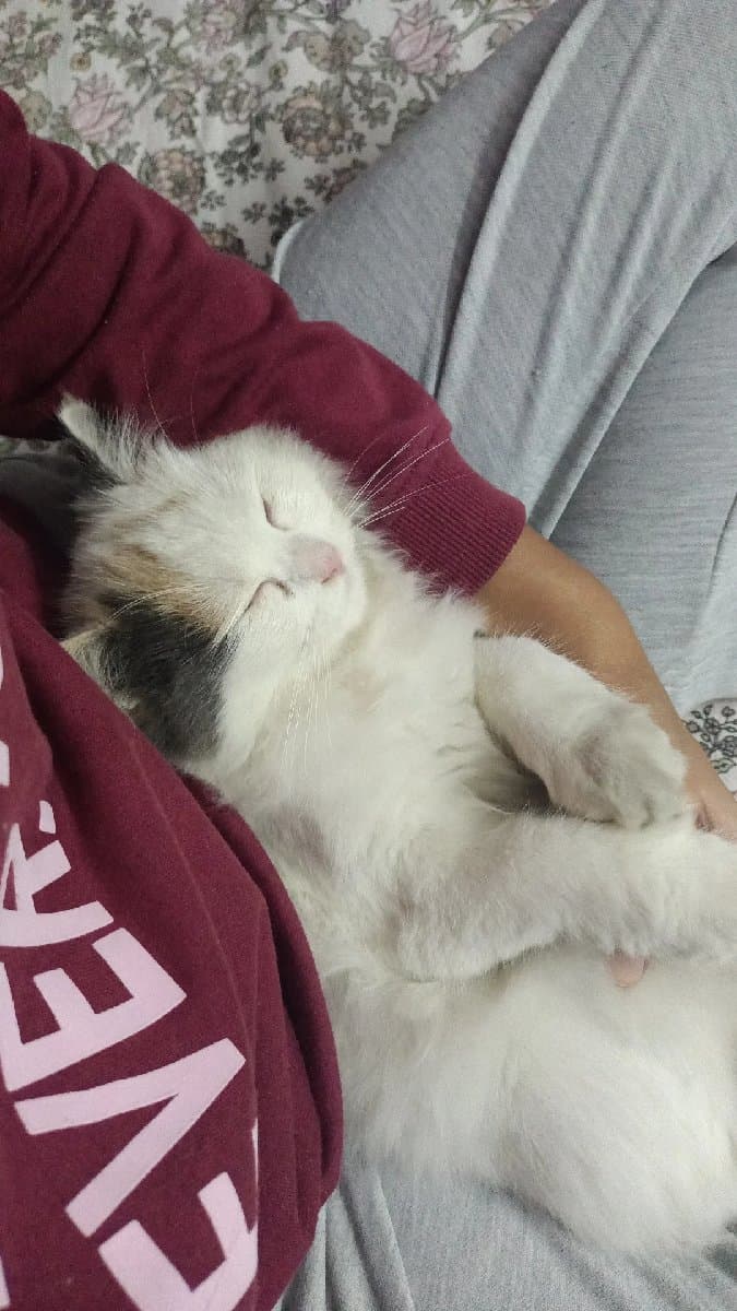 Aparajita's home photo 3