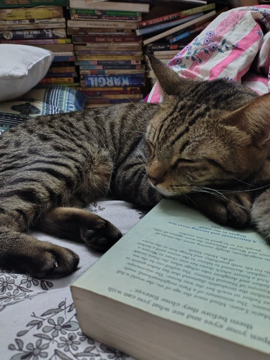 Aparajita's home photo 4