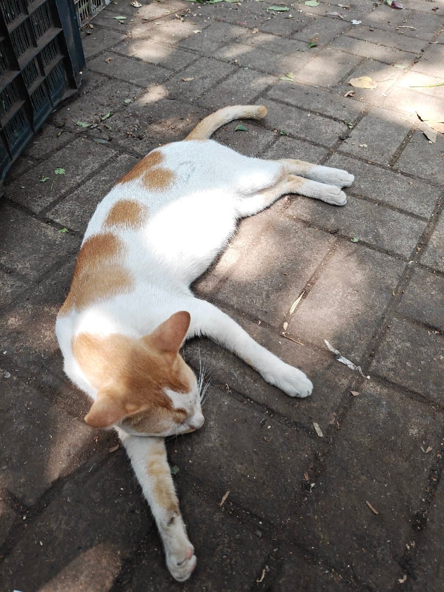 Megha's profile photo