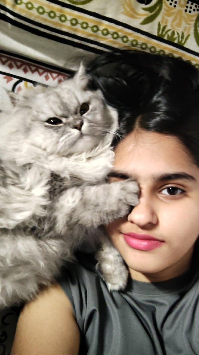 Rahul's profile photo