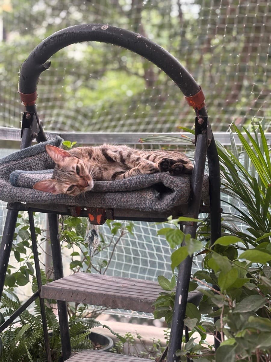 Akanksha's home photo 2