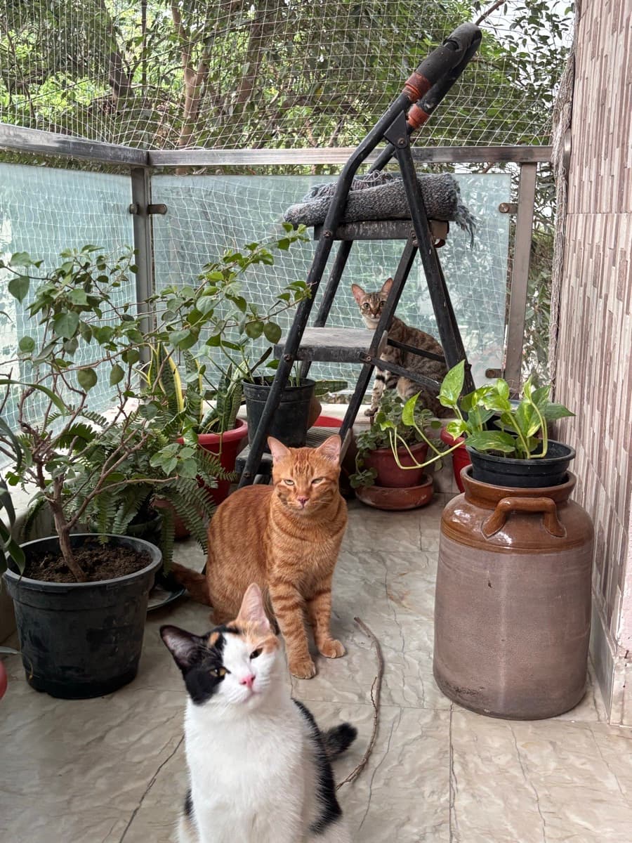 Akanksha's home photo 4