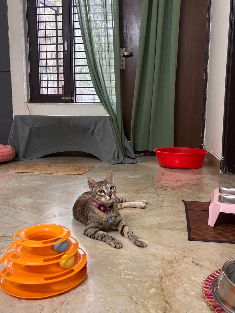 Akanksha's home photo 3