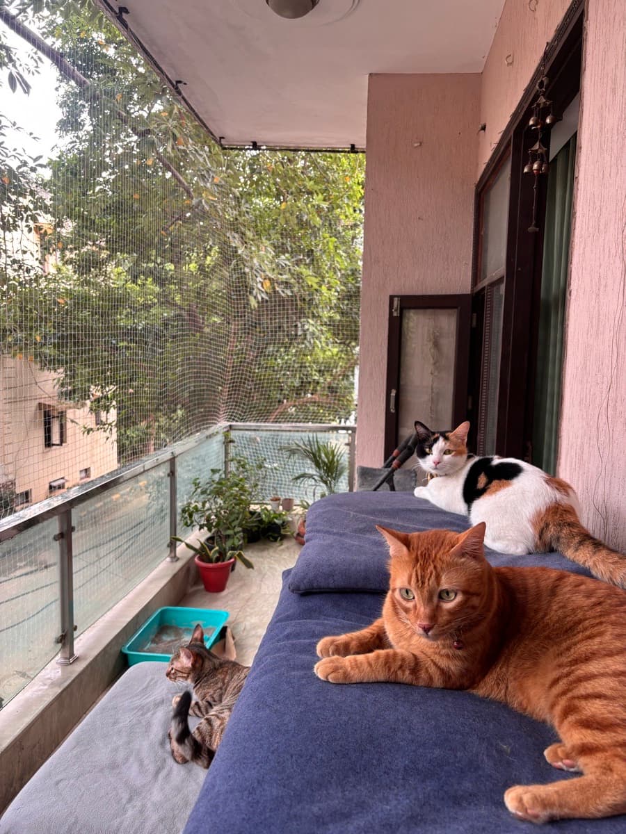 Akanksha's home photo 1