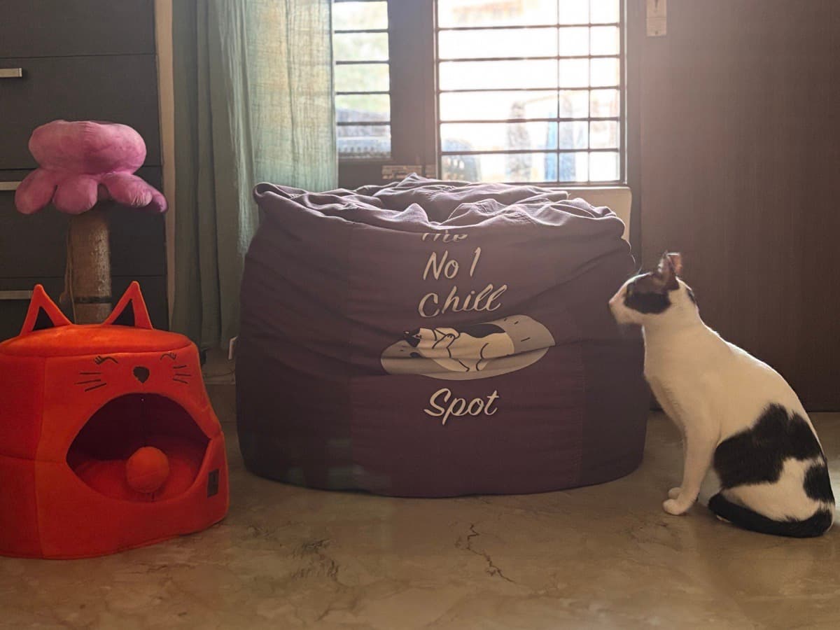 Akanksha's home photo 6