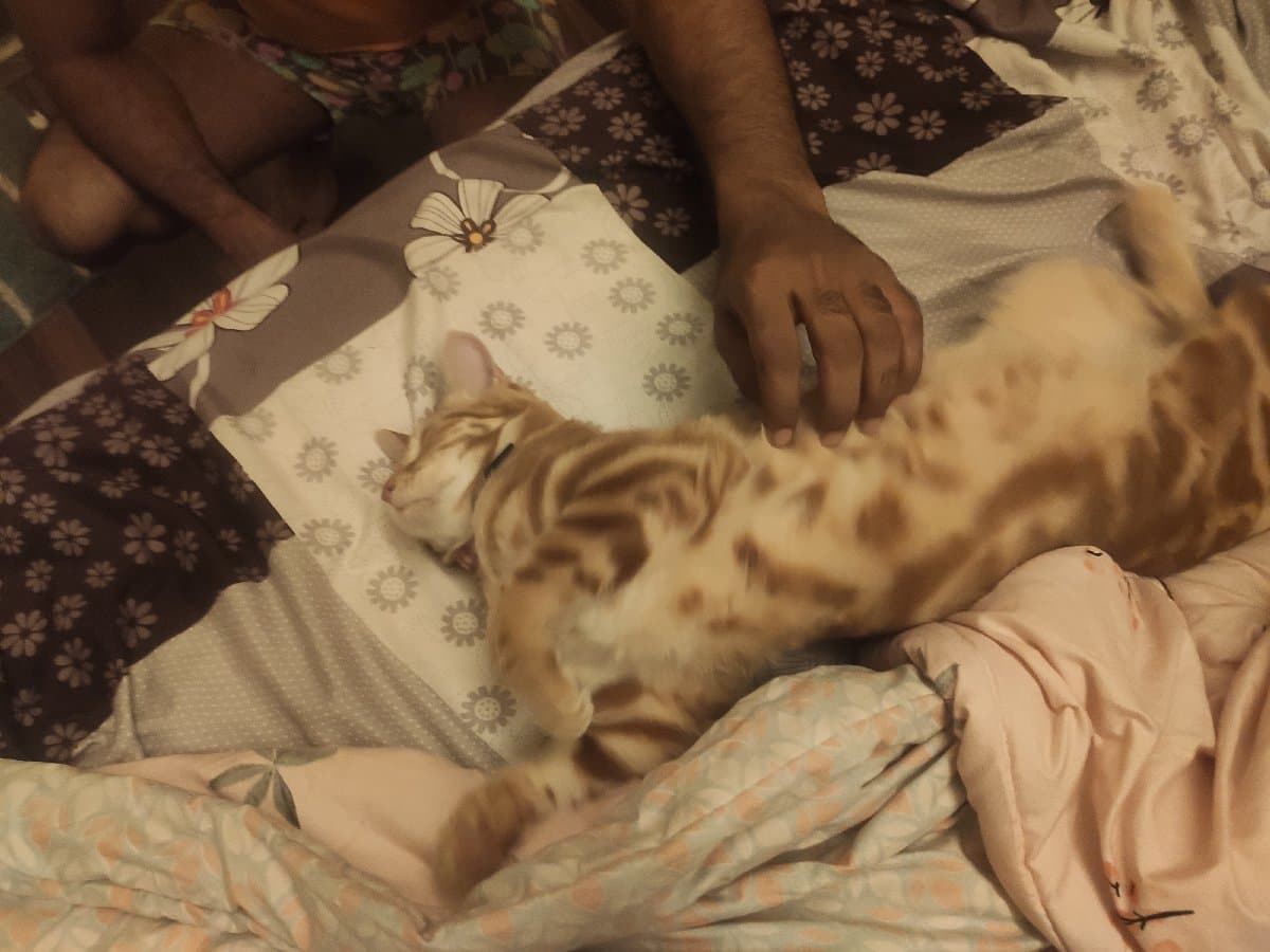 Nikitha's home photo 6