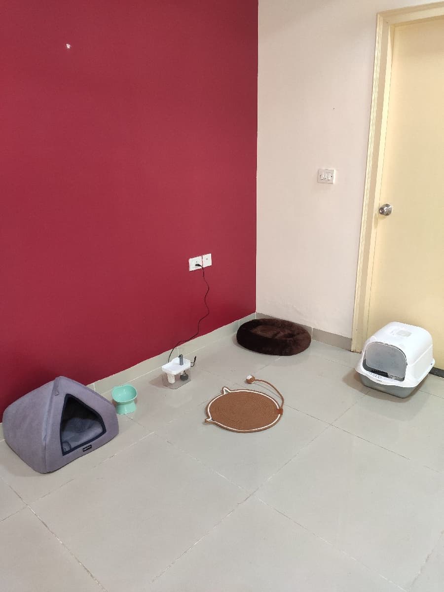 Nikitha's home photo 7