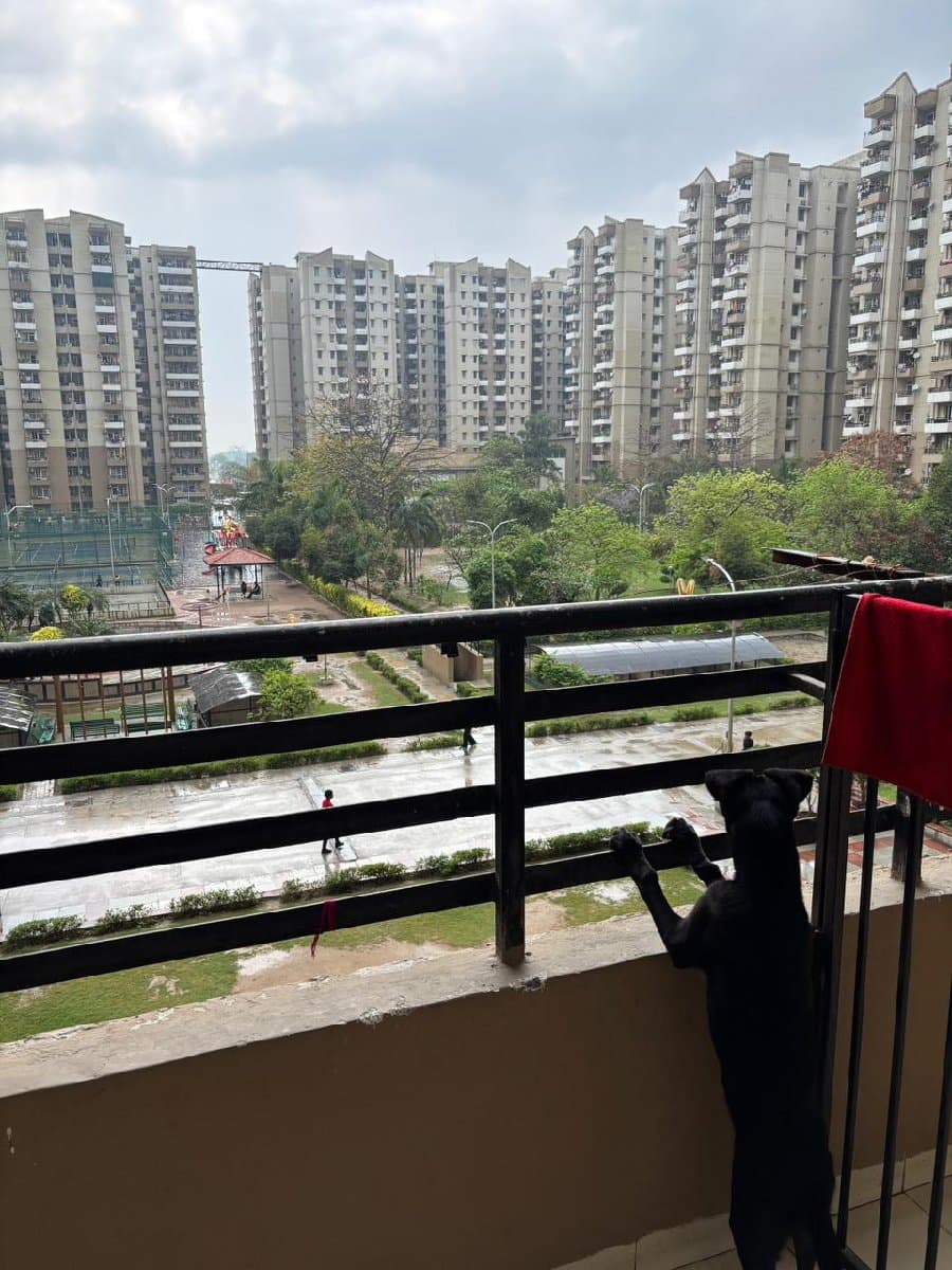 Tanmay's home photo 7