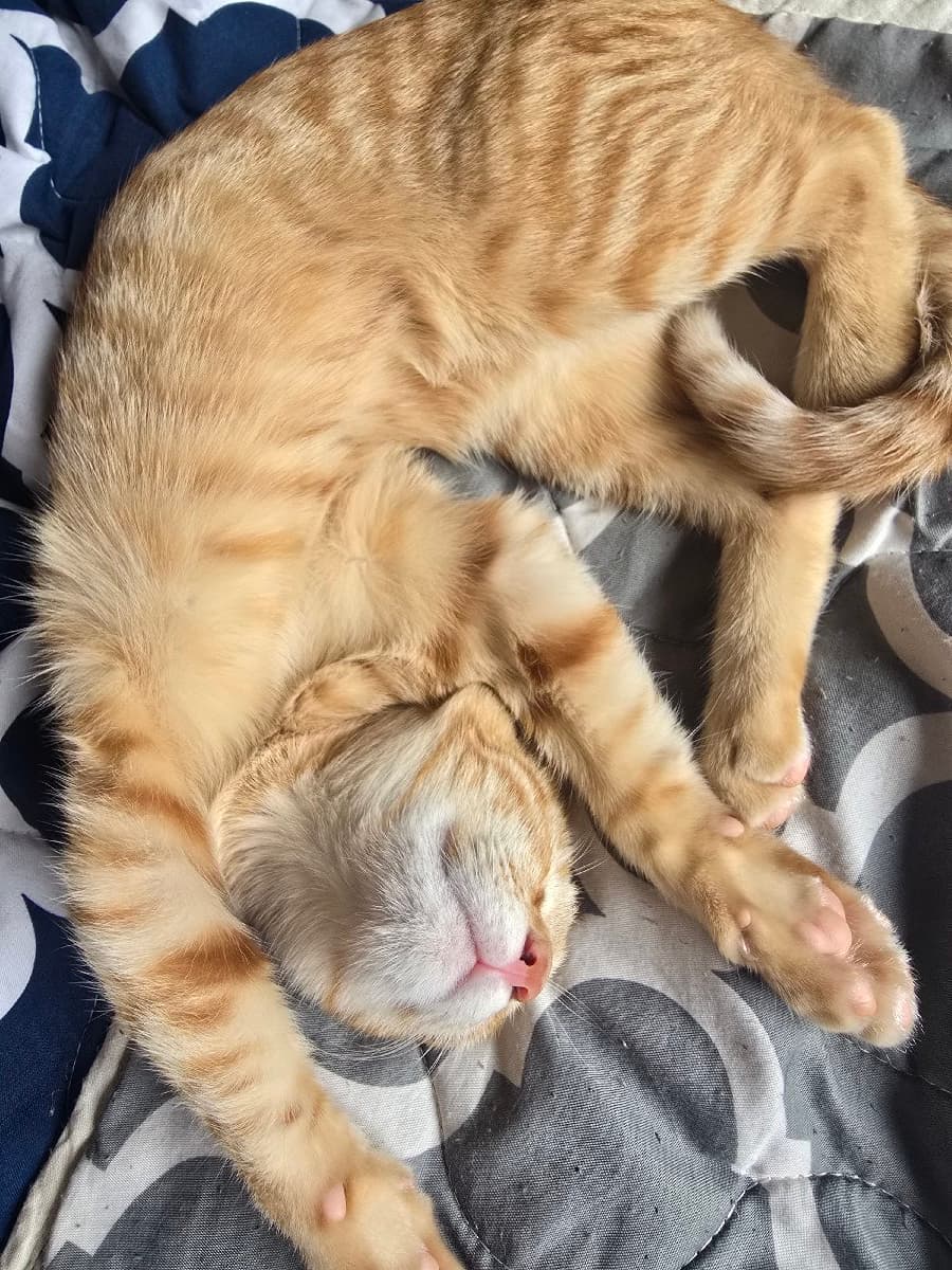 Akash.V.R's home photo 2