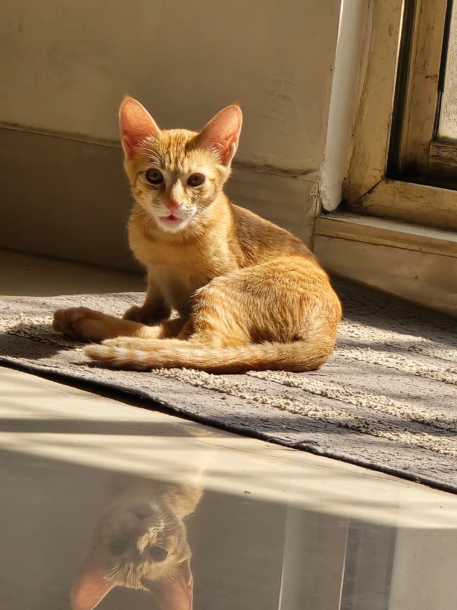 Akash.V.R's home photo 5