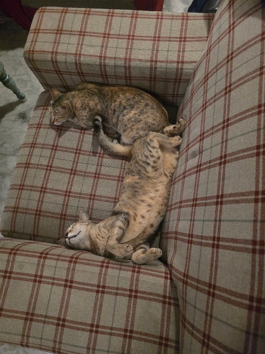 Akash.V.R's home photo 1