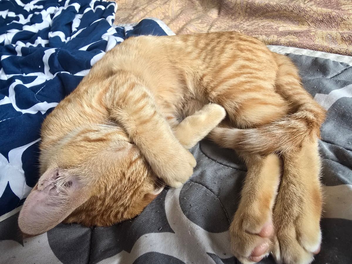 Akash.V.R's home photo 3