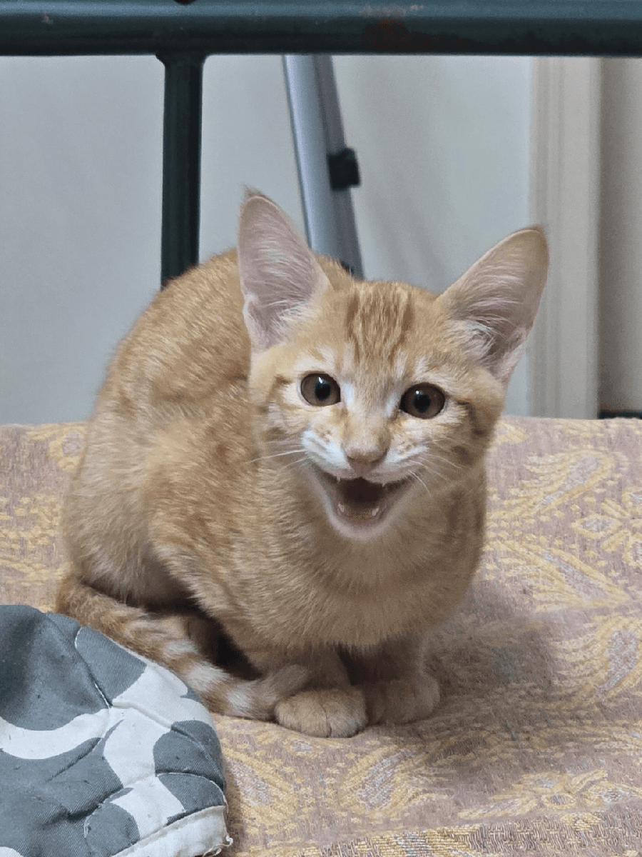 Akash.V.R's home photo 6