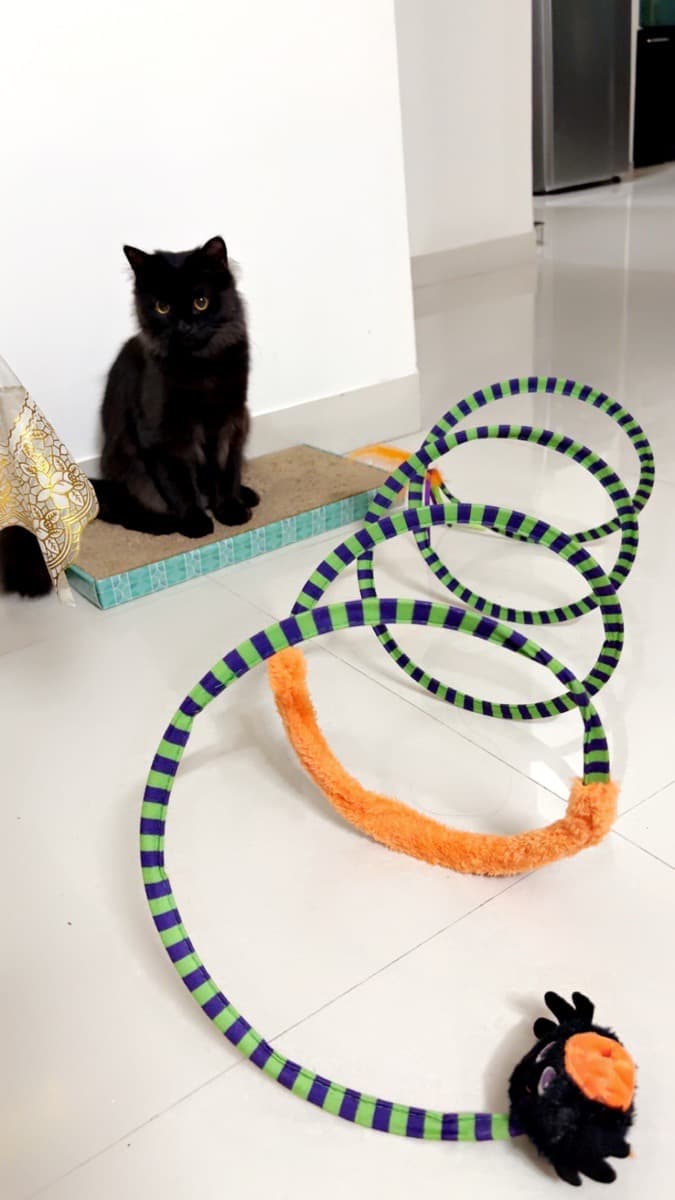 Reena's home photo 9