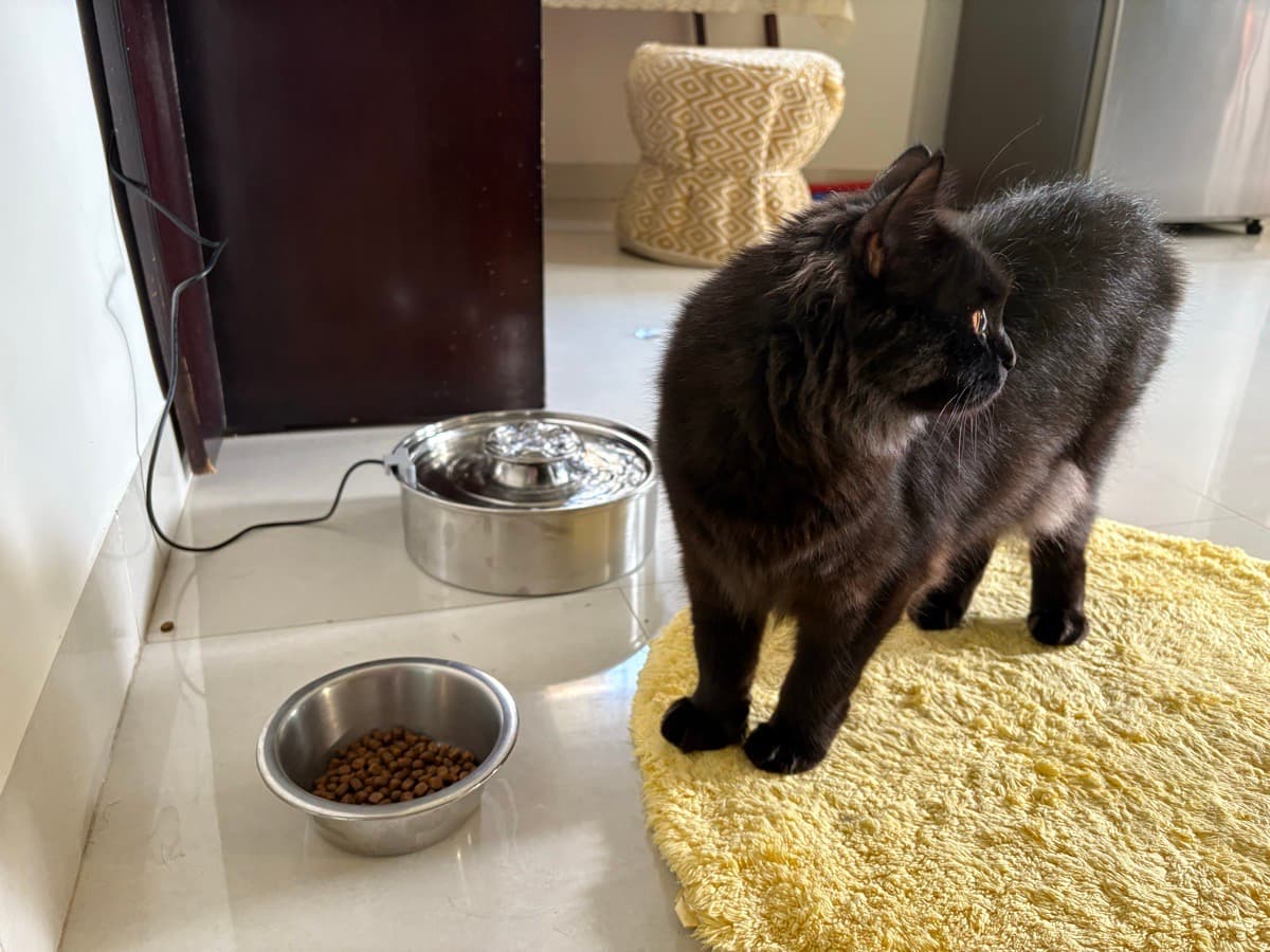 Reena's home photo 10