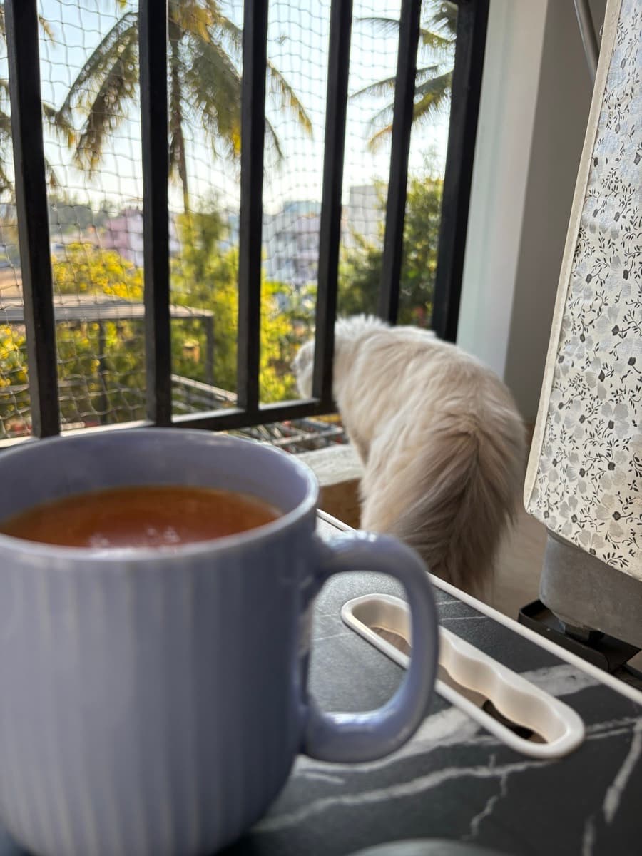 Reena's home photo 7