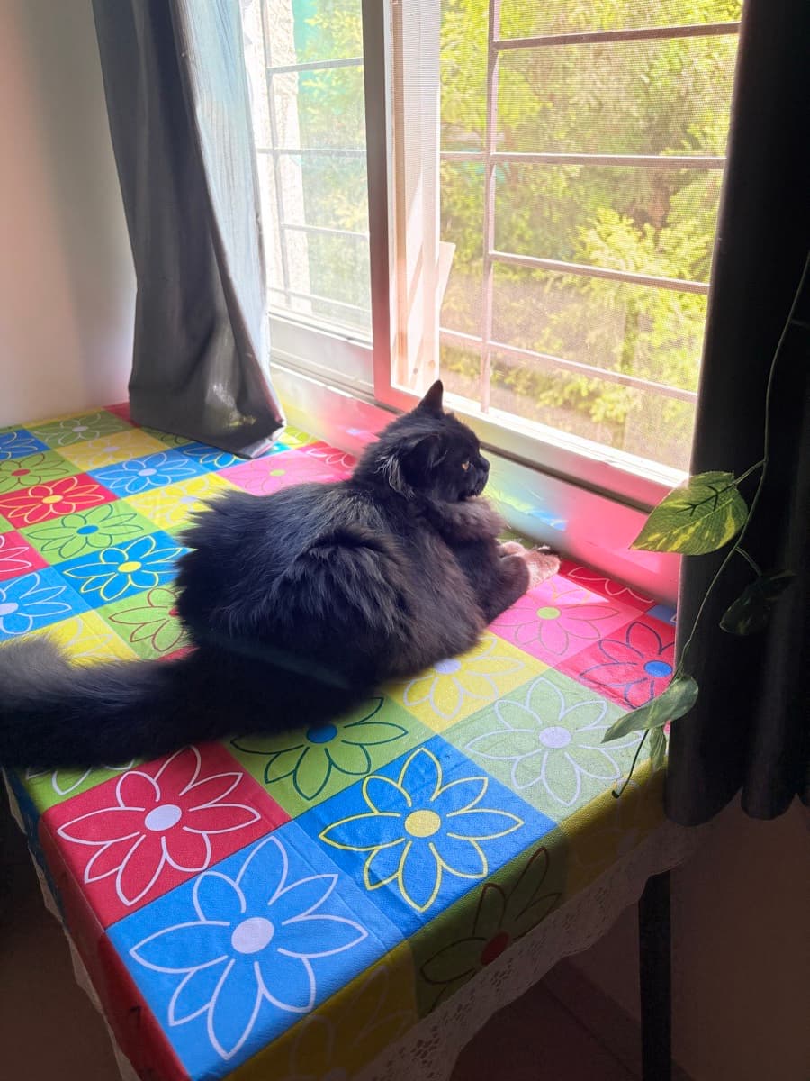 Reena's home photo 6