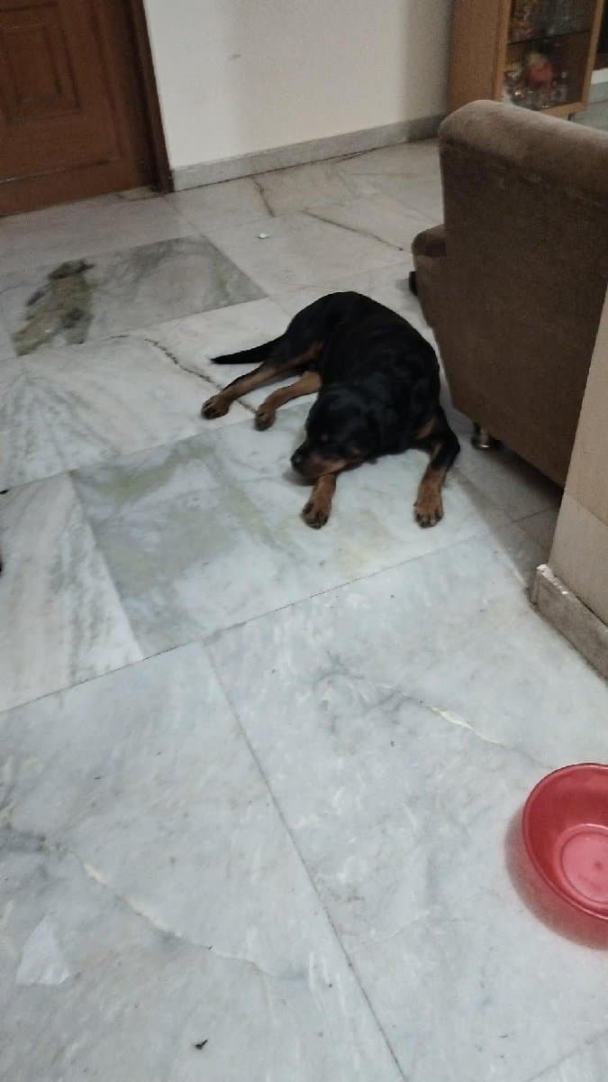 Sharon's home photo 5