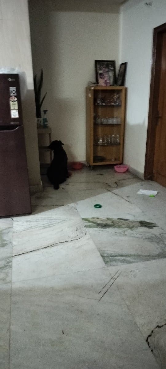 Sharon's home photo 1