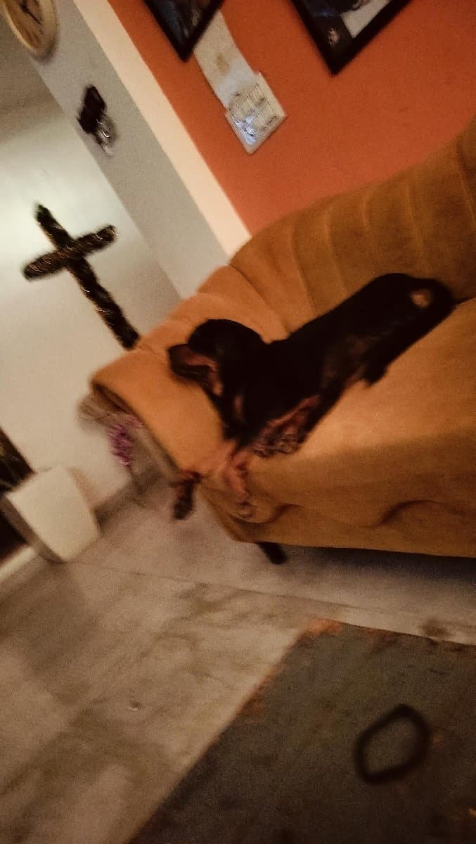 Sharon's home photo 4