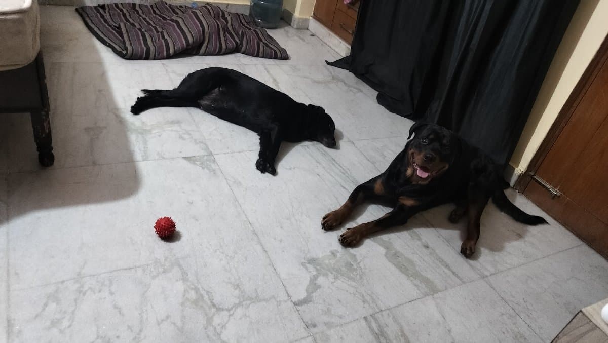 Sharon's home photo 2