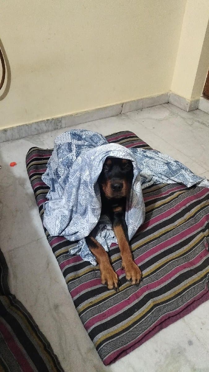 Sharon's home photo 3