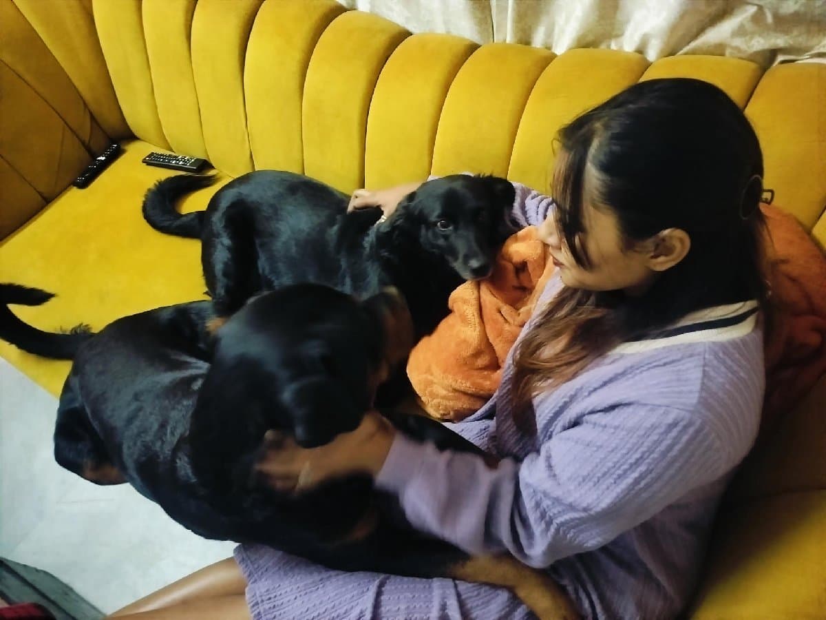 Sharon's profile photo