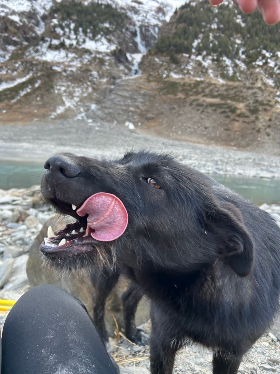 Diya's profile photo