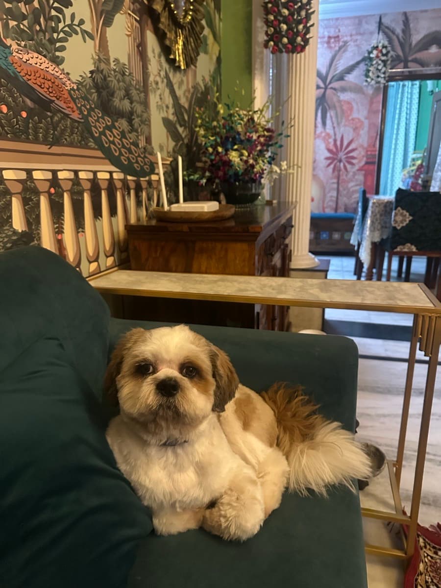 Opiya's home photo 5