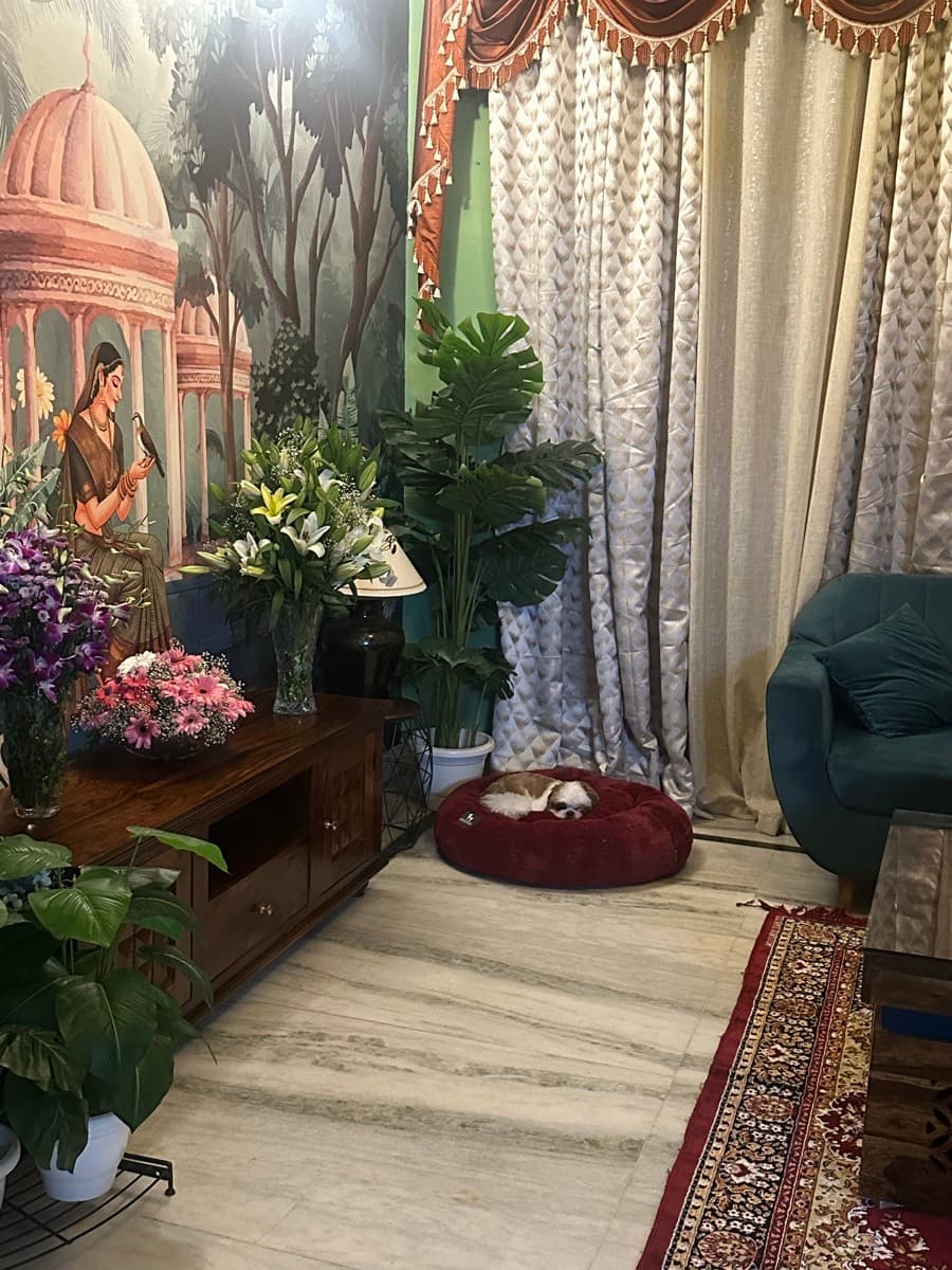 Opiya's home photo 6