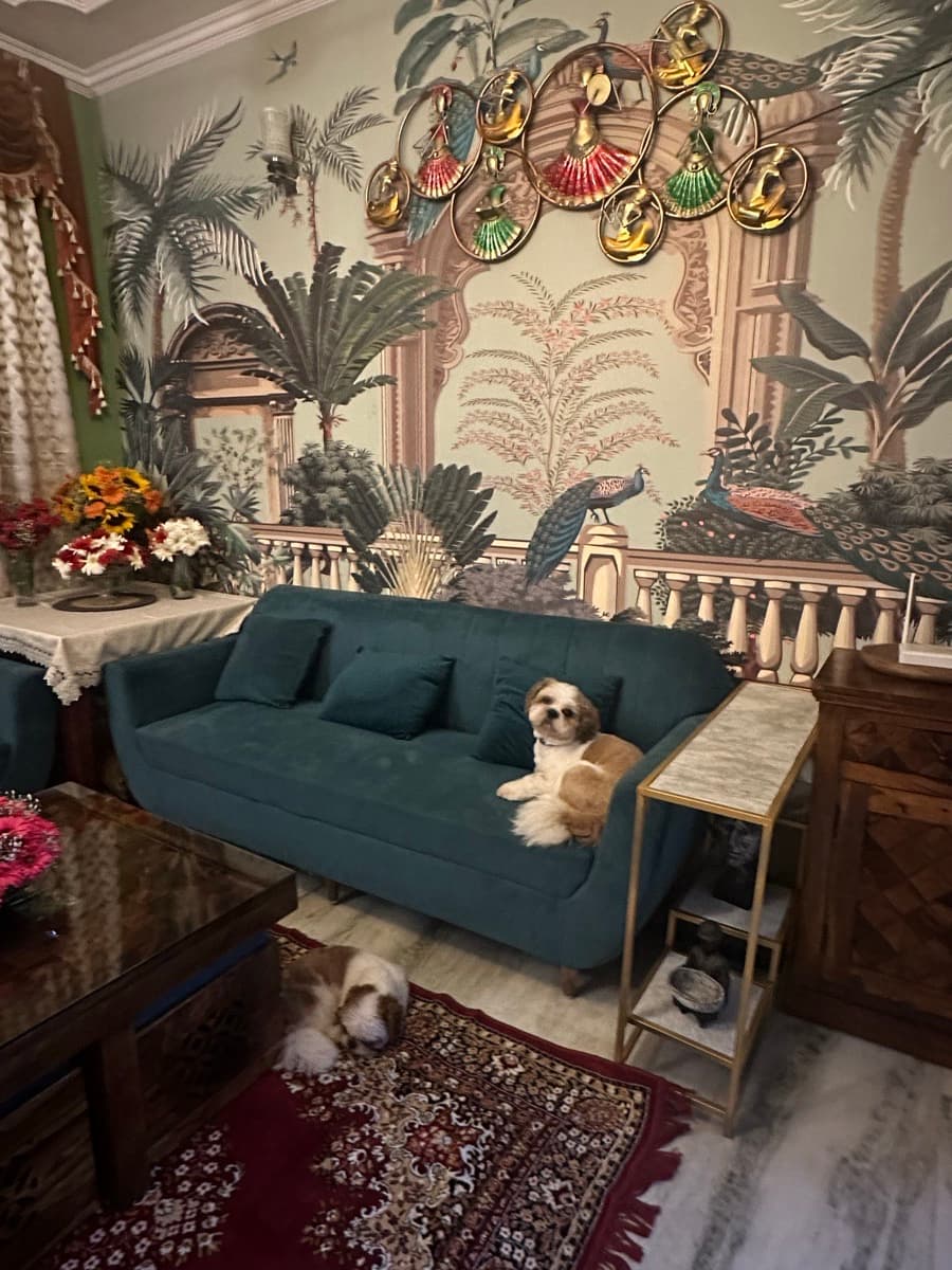 Opiya's home photo 3