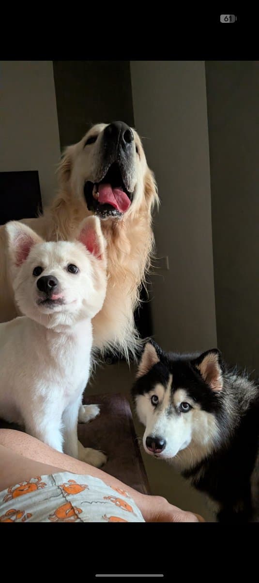 Meghana's home photo 8