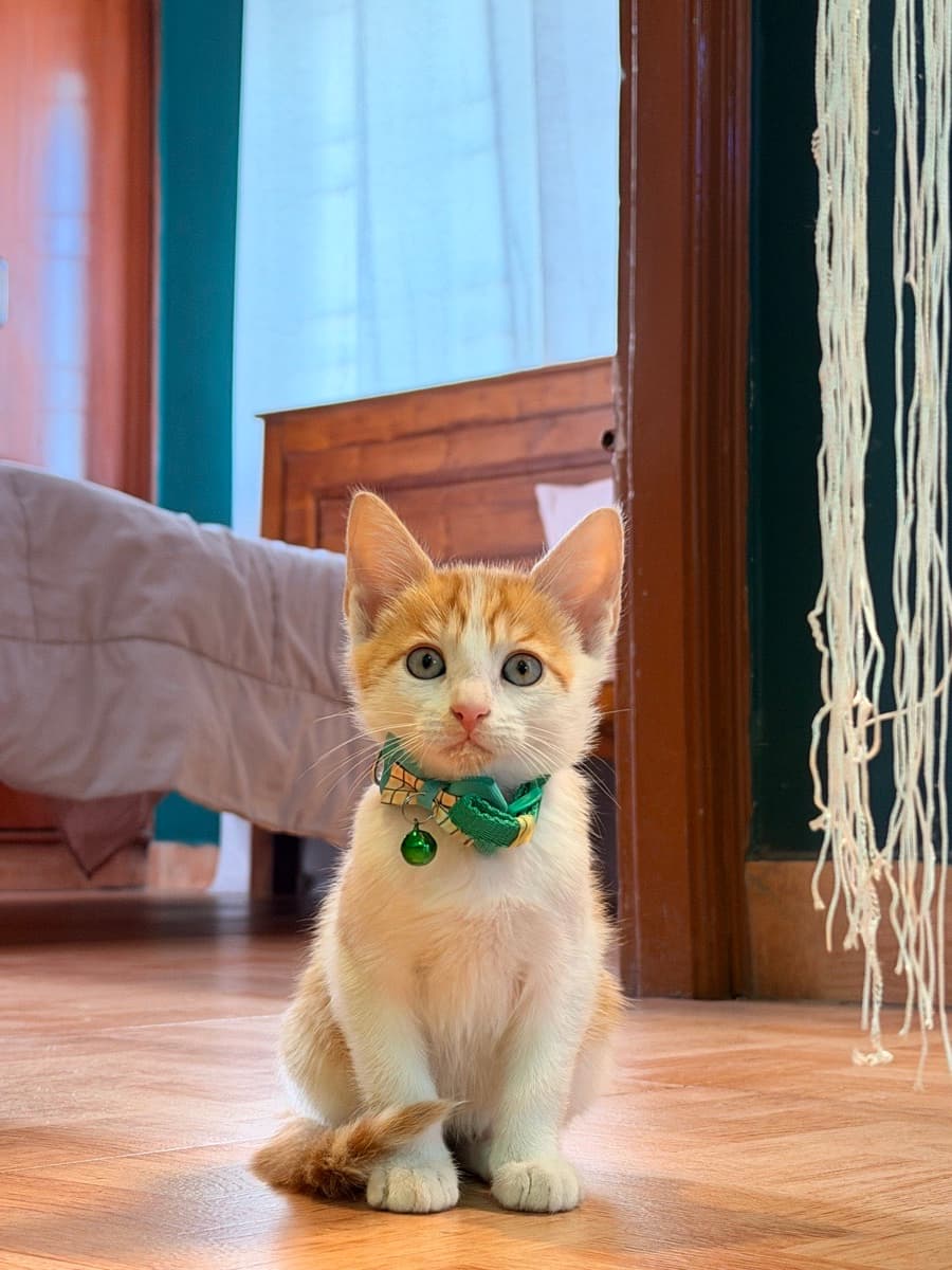 Shreya's home photo 3