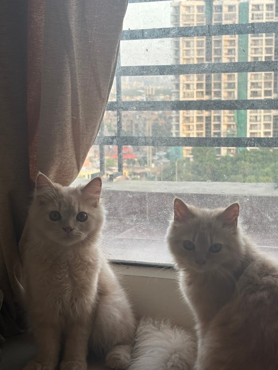 Atrija's home photo 4