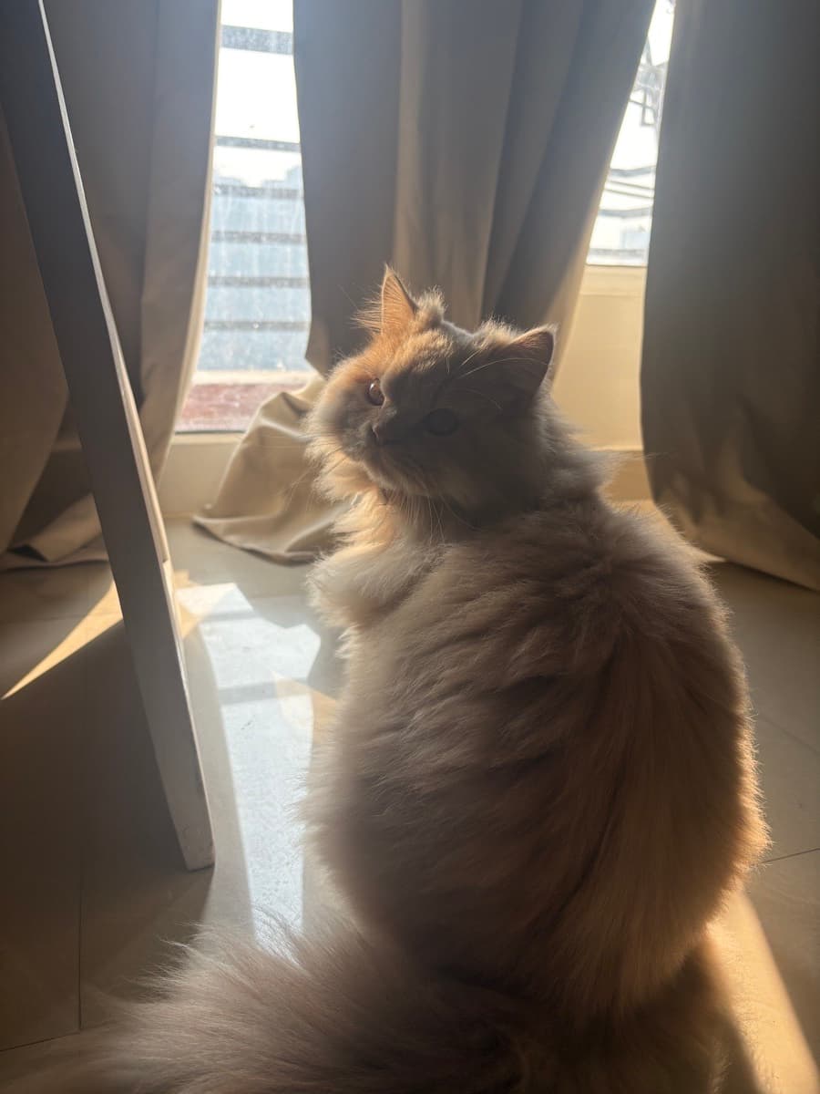 Atrija's home photo 1