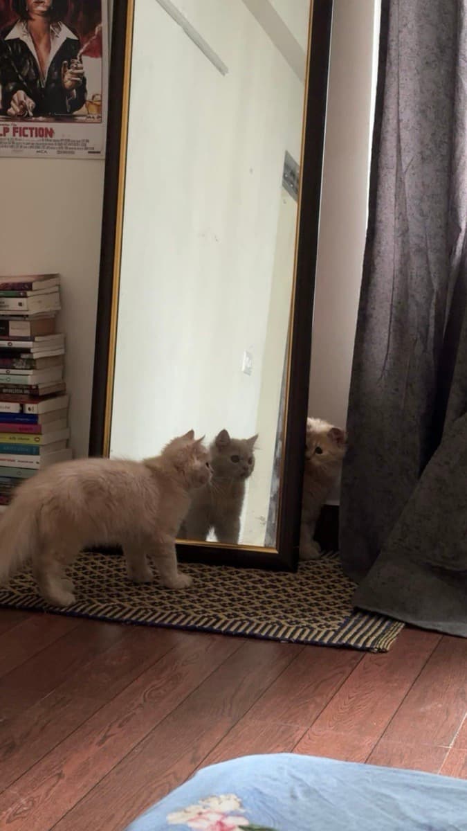 Atrija's home photo 6