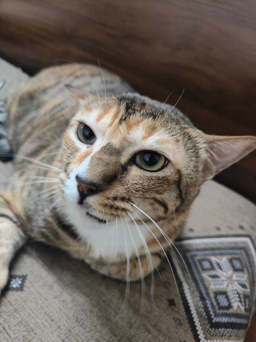 Sanskriti's home photo 3