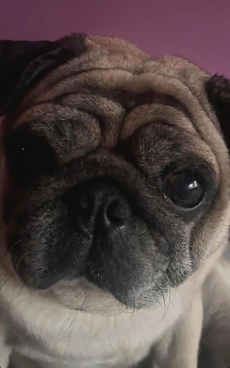 Sanskriti's home photo 4